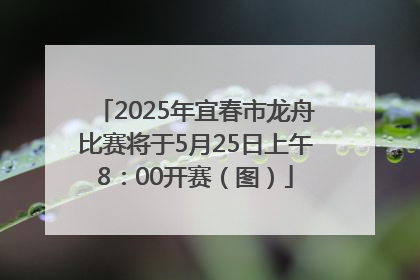2025年宜春市龙舟比赛将于5月25日上午8：00开赛（图）